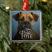 Moderne Liebe Benutzerdefinierte Boxer-Hunde-Fotos