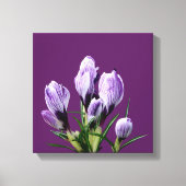 Moderne lila Crocus floral trendig digital stilvol Leinwanddruck (Vorderseite)