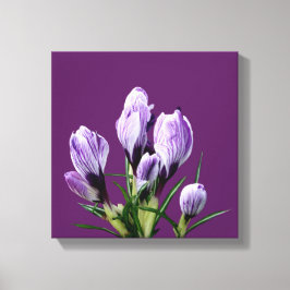 Moderne lila Crocus floral trendig digital stilvol Leinwanddruck