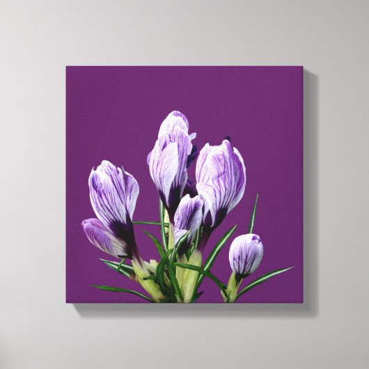 Moderne lila Crocus floral trendig digital stilvol Leinwanddruck (Vorderseite)