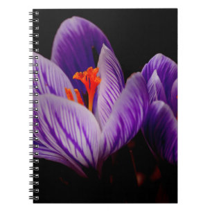Moderne Lila Tulip Blume Notizblock