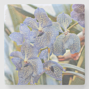 Moderne Malerei Lila Blue Orchid Blume Steinuntersetzer