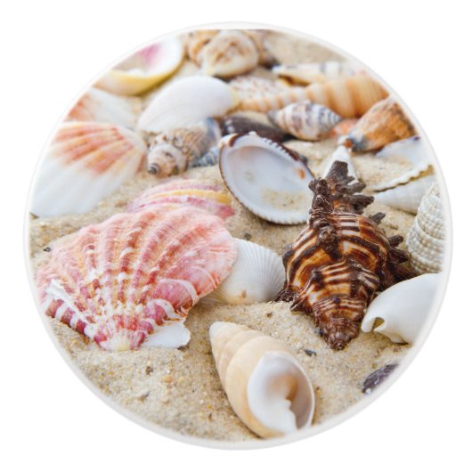Moderne Meeresküste Sand Beach Seashells Keramikknauf (Vorderseite)