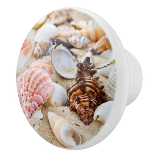 Moderne Meeresküste Sand Beach Seashells Keramikknauf (Rechts)