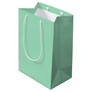 Moderne Meeresschaum-Grüne Einfarbige Farbe Mittlere Geschenktüte