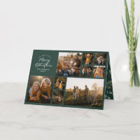 Moderne, minimalgrüne 11 Foto botanische Familie