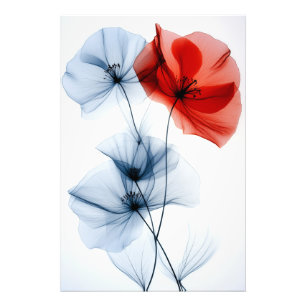 Moderne minimalistische Kunst, transparente Blume Fotodruck