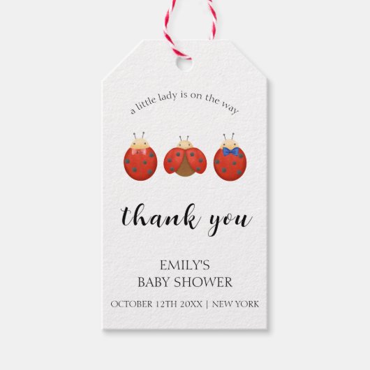 Moderne Minimalistische Ladybug-Kinderdusche Geschenkanhänger (Vorderseite)