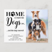 Moderne neue Adresse angepasste Foto Hunde Heimtie Ankündigungspostkarte (Vorderseite)