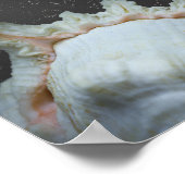Moderne neutrale tropische Seashell Printable Art Poster (Ecke)