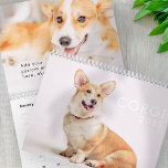 Moderne Niedliche Funny Corgi Dogs Fotos Kalender<br><div class="desc">Design besteht aus Fotos niedlicher Corgi-Hunde</div>