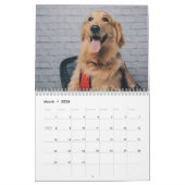 Moderne Niedliche Hunde-Fotos 2024 Kalender (Mär 2026)