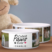 Moderne Niedliche Paws je Familie Hundfoto Collage