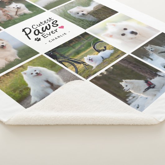 Moderne Niedliche Paws je spielerisch Hundfoto Col Sherpadecke (3/4)