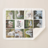 Moderne Niedliche Paws je spielerisch Hundfoto Col Sherpadecke (Vorderseite (Horizontal))