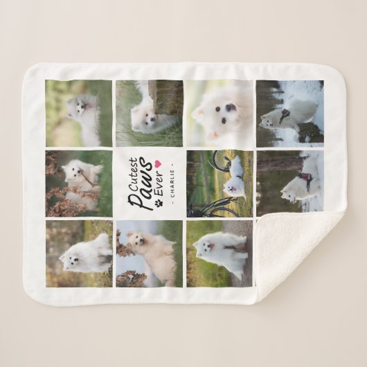 Moderne Niedliche Paws je spielerisch Hundfoto Col Sherpadecke (Vorderseite (Horizontal))