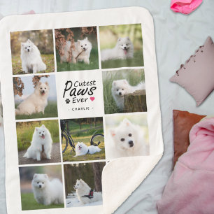 Moderne Niedliche Paws je spielerisch Hundfoto Col Sherpadecke