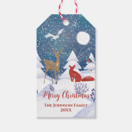 Moderne nordische Winterschneegebiete Geschenkanhänger