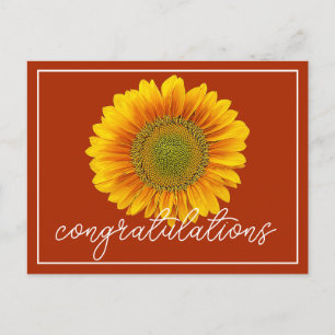 Moderne Orange & Gelbe Sonnenblume Gratulation Postkarte