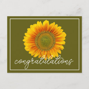 Moderne Orange und Gelbe Sonnenblume Gratulation Postkarte