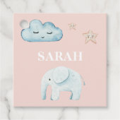 Moderne Pastellfarben Rosa und Blauer Name Geschenkanhänger (Vorderseite)