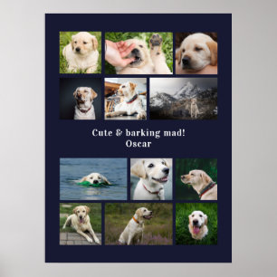 Moderne personalisierte Collage mit 12 Hunde-Fotos Poster