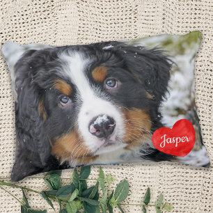 Moderne Personalisierte Foto-Hundefreund-Haustier Zierkissen