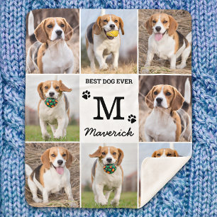 Moderne Personalisierte Fotocollage Haustier Hunde Sherpadecke