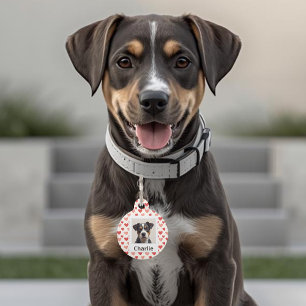 Moderne Personalisierte Hunde Valentinstag Pet-Anh Haustiermarke
