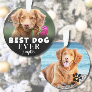 Moderne Personalisierte Süße Beste Hund Aller Zeit Ornament
