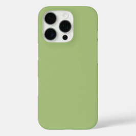 Moderne Pistachio Green Schlicht Solid Color iPhone 16 Pro Hülle