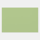 Moderne Pistachio Green Schlicht Solid Color Geschenkpapier Set (Vorderseite 3)