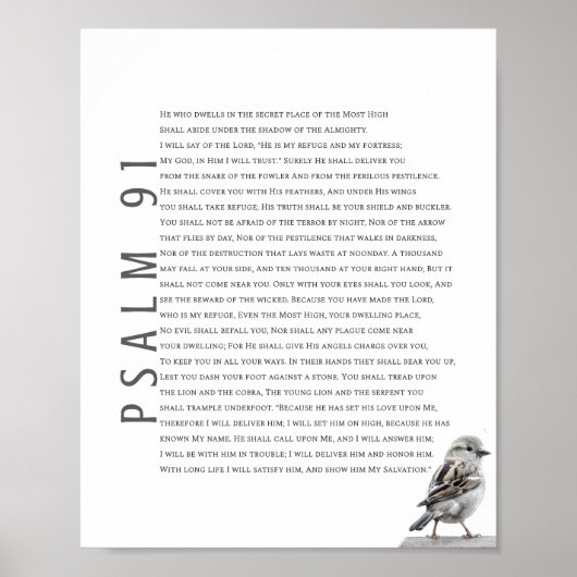 Moderne Psalm 91 Bibelschrift Christliche Vogelkun Poster (Vorne)