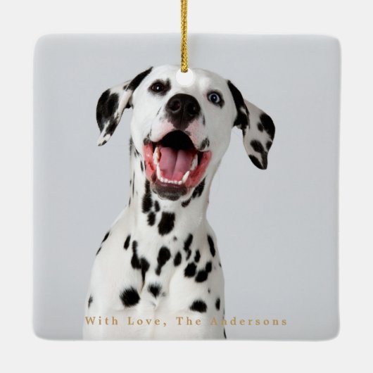 Moderne Rahmen botanische Blumenweihnachtszeit Zwe Keramikornament (Rückseite)