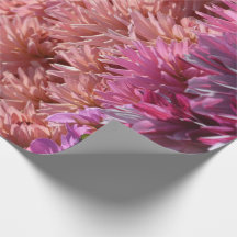 Moderne Regenbogen-Rosa-orange lila Dahlie-Blume
