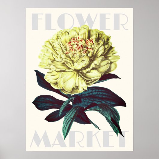 Moderne Retro-Blume Poster (Vorne)