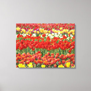 Moderne Retro-Fotografie Leinwanddrucke Tulpen Leinwanddruck
