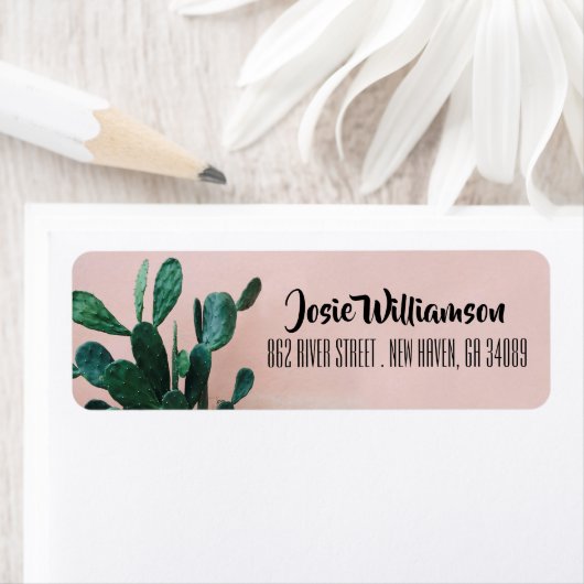 Moderne rosa Kaktus (Insitu)