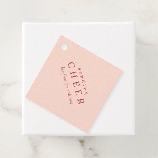 Moderne rosa Weihnachtsgeschenktafeln Geschenkanhänger (Beispiel)