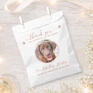 Moderne Rose Gold Danke, dass ihr Hund Foto Hausti Geschenktütchen