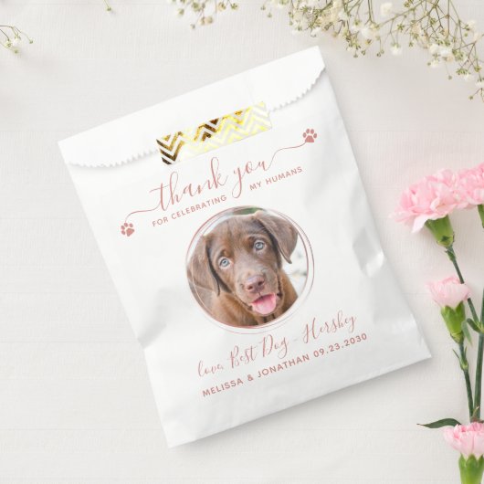 Moderne Rose Gold Danke, dass ihr Hund Foto Hausti Geschenktütchen (Versiegelt)