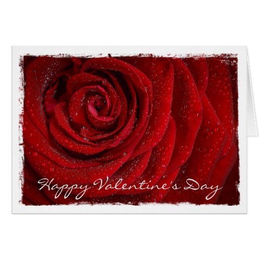 Moderne Rote Rose Benutzerdefinierte TextGremium-K (Vorderseite (Horizontal))