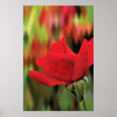 Moderne rote Rose mit hoher Polygonzahl | Botanisc Poster (Vorne)
