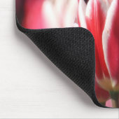Moderne rote, weiße und rosa Tulpen Mousepad (Ecke)
