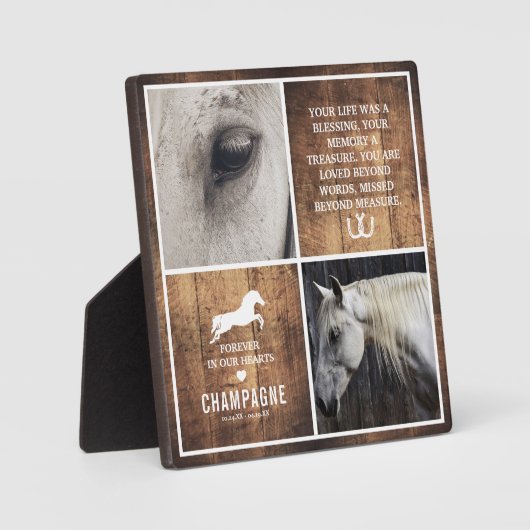 Moderne Rustikale Pferdegeweihungskollektion Fotoplatte (Vorderseite)