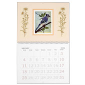 Moderne schicke, stilvolle Watercolor Birds Kalender (Jan 2026)