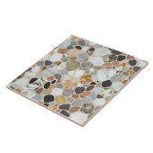 Moderne schöne natürliche Felsen Terrazzo Muster Fliese (Seite)