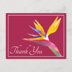 Moderne schöne Vogel-des-Paradieses-Blumen-Dankesc Postkarte
