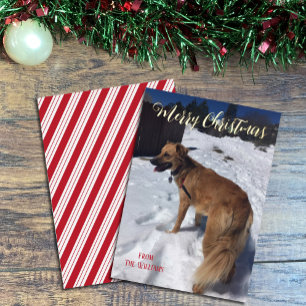 Moderne Schrift Einzelhund-Foto-Folie-Weihnachtska Folien Feiertagskarte