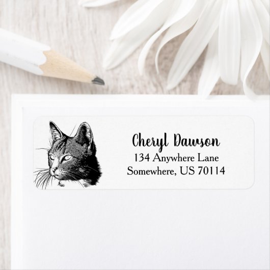 Moderne Schwarz-Weiß-Katze (Insitu)